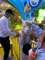 -宝燕乐园(闵行旗舰店)