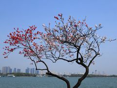 -长广溪湿地公园