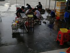 -蚝专家(北滘店)