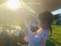 -春花秋色城市公园