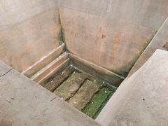 -马王堆汉墓遗址