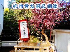 -杭州黄龙洞