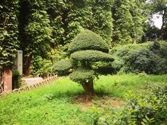 -中南财经政法大学(首义校区)