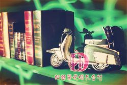 -上海金桥红枫万豪酒店·宴会厅