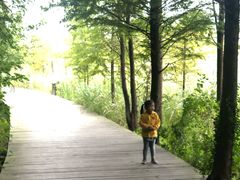 -溱湖国家湿地公园