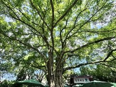 -鹅岭公园瞰胜楼