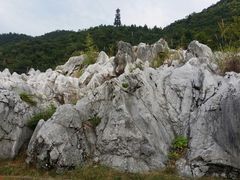 -千岛湖石林