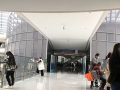 -首都医科大学附属北京天坛医院
