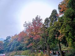 -南岳衡山风景名胜区