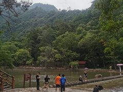 -龙湾潭国家森林公园