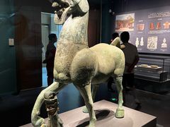 -广西壮族自治区博物馆