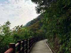 -羚羊峡古栈道森林公园