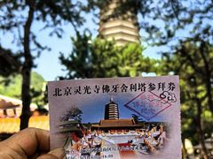 -八大处公园