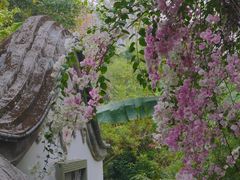 -深圳国际园林花卉博览园