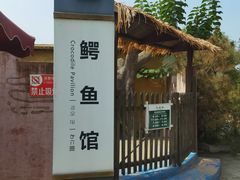 -白洋淀风景区