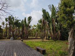 -中澳友谊花园