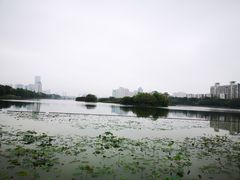 -南宁南湖公园