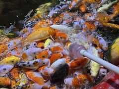 -顺德南宏海立方海洋公园