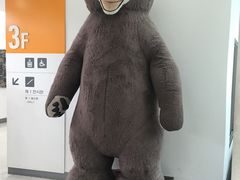 -济州岛泰迪熊博物馆