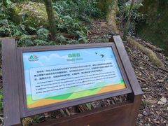 -广州市石门国家森林公园