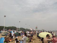 -碧海金沙