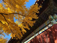 -红螺寺