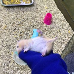 -未来动物城主题公园(正弘城店)