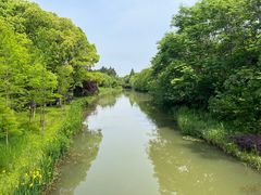 -昆山城市生态森林公园