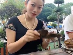 鲎-Jomtien Talay Pao Pattaya