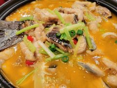 -鲁宴·鲁煨黄河生态大鲤鱼(月坛店)