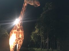 -清迈夜间动物园