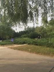 点击看大图 -大望京儿童游乐场