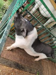 -小蜜蜂农场(凯德七宝购物广场店)