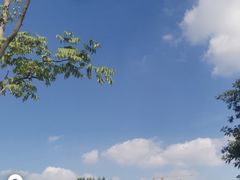 -白塘生态植物园