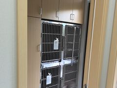 -圣宠动物医院·犬猫专科·影像中心·外科中心