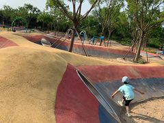 -东郊湿地公园