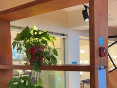 -沈家花园如皋菜(海阳路店)