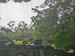 -史努比缤纷世界
