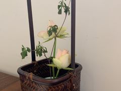 -梅间堂茶馆(绿地缤纷城店)