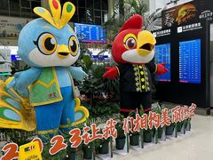 -德宏芒市国际机场