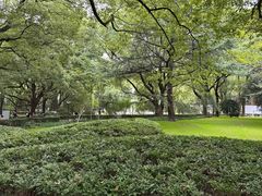 -上海交通大学医学院附属瑞金医院(总院)