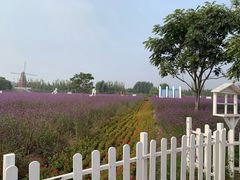 -渔岛海洋度假区