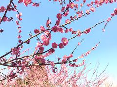 -白塘生态植物园