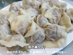 -陶然饺子城(奥体中路店)