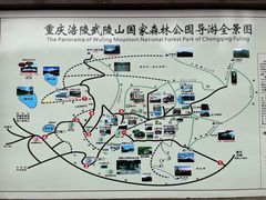 -武陵山森林公园