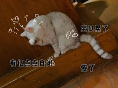 -不舍昼夜咖啡馆