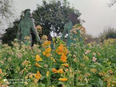 -八卦田遗址公园