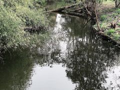 -上海滨江森林公园