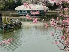 -中国科学院华南植物园