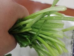 -楼外楼肥羊木炭火锅居(乐群街店)